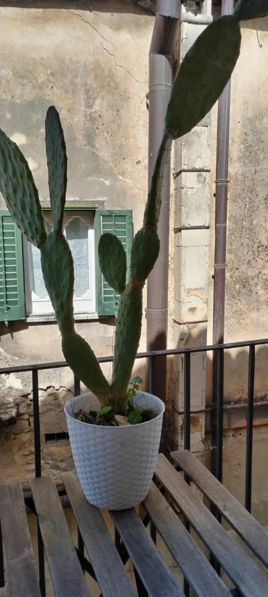 Residenza Donnafugata B&B Рагуза Экстерьер фото